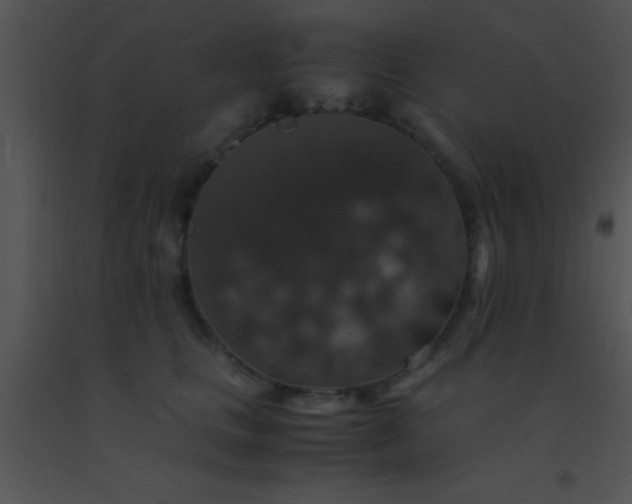 X0000091550661200708311355