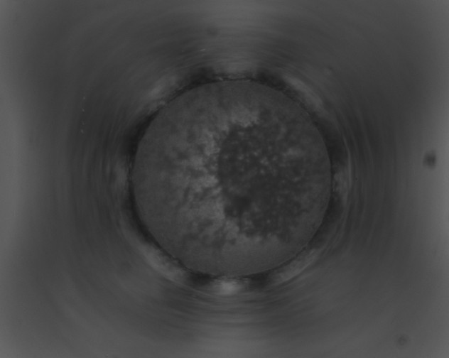 X0000091550662200708311355