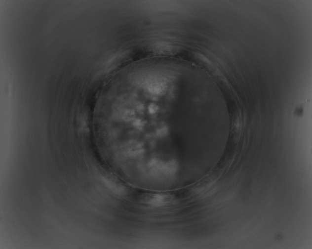X0000091550663200708311355