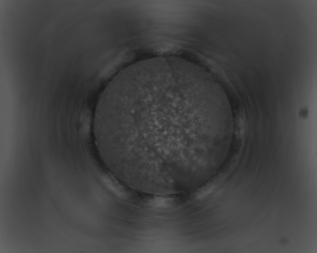 X0000091550664200708311355