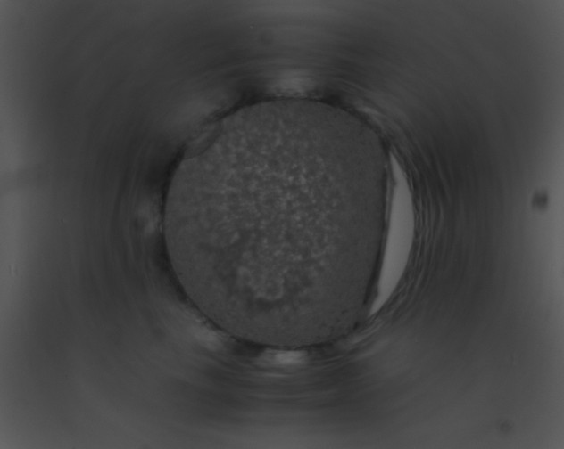 X0000091550665200708311355