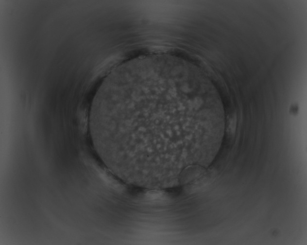 X0000091550666200708311355