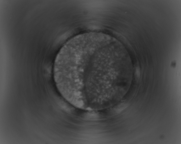 X0000091550668200708311356