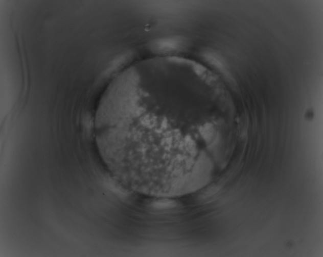 X0000091550669200708311356
