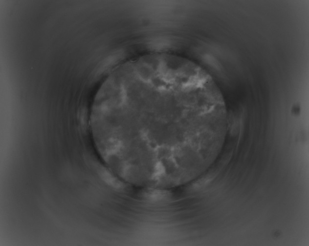 X0000091550670200708311356