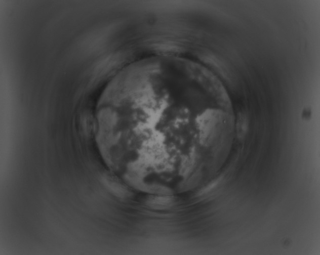 X0000091550671200708311356