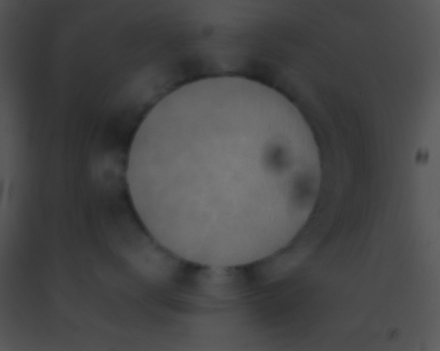 X0000091550672200708311356