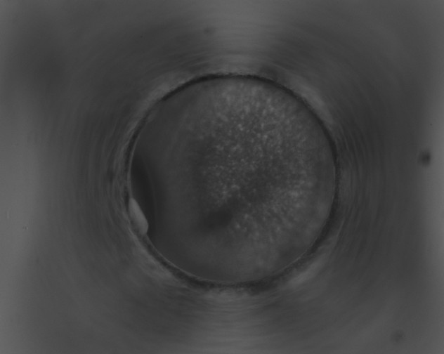 X0000091550673200708311355