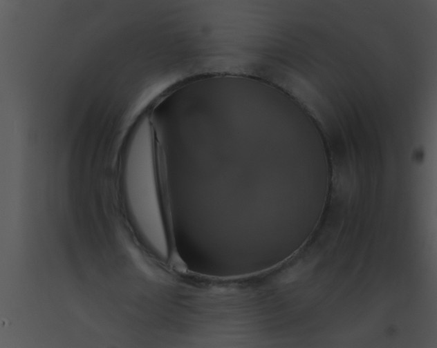 X0000091550674200708311355