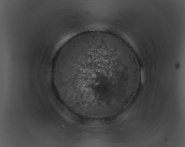 X0000091550675200708311355