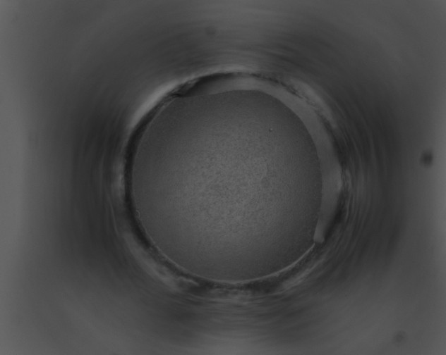 X0000091550676200708311355