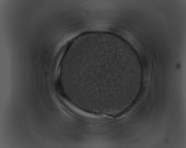 X0000091550677200708311355