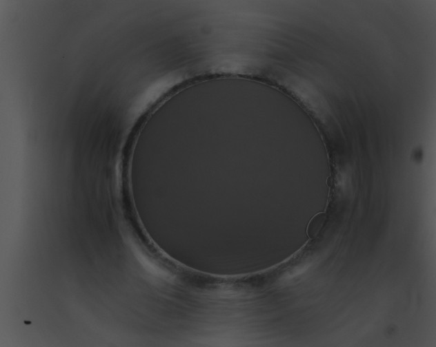 X0000091550678200708311355
