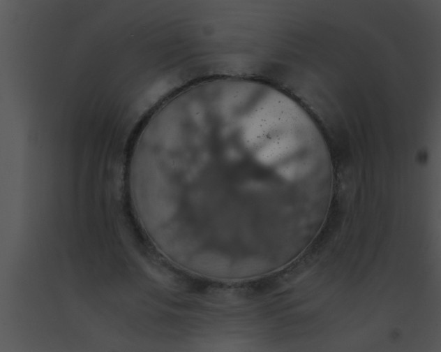 X0000091550679200708311355