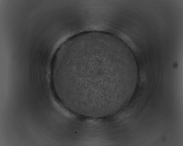 X0000091550680200708311355
