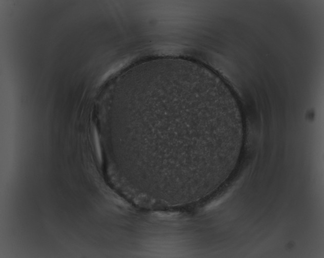 X0000091550681200708311355