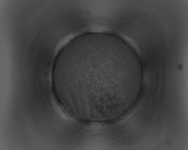 X0000091550682200708311355