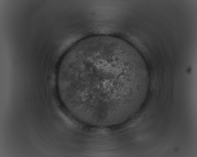 X0000091550683200708311355