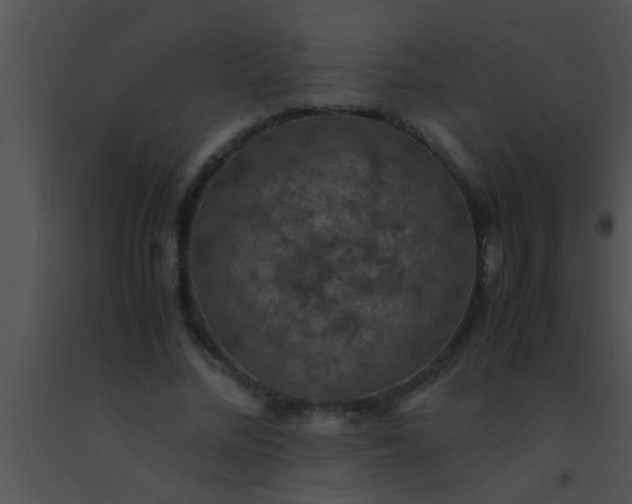 X0000091550684200708311355