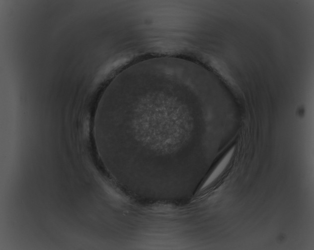 X0000091550685200708311355