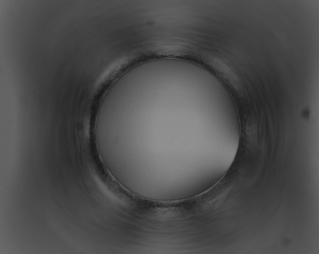 X0000091550686200708311355