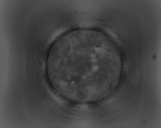 X0000091550687200708311355