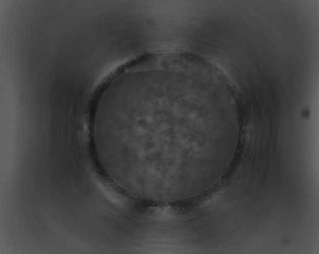 X0000091550688200708311355