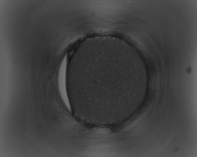 X0000091550689200708311355