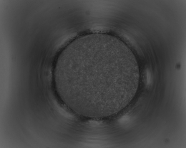 X0000091550690200708311355
