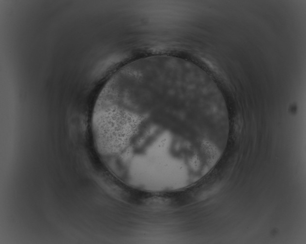 X0000091550691200708311355
