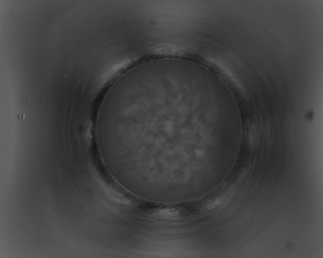 X0000091550692200708311355