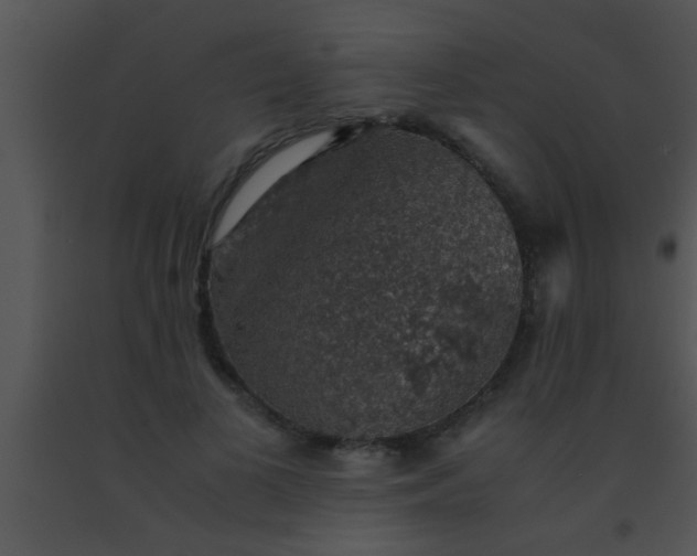 X0000091550693200708311355
