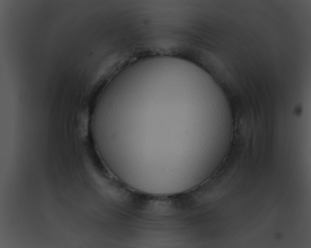 X0000091550694200708311355