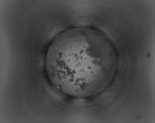 X0000091550695200708311355