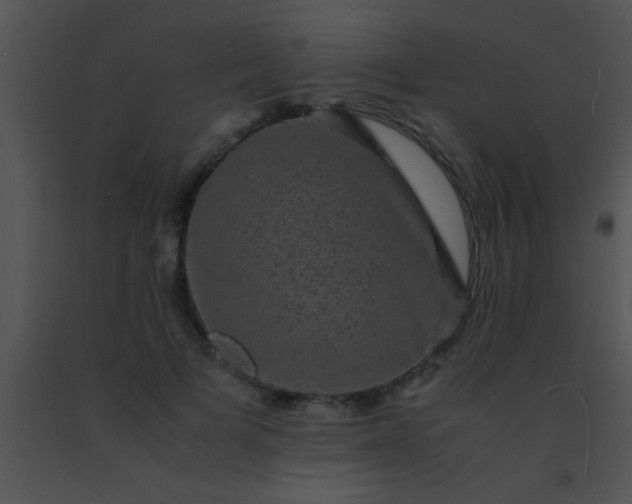 X0000091550697200708311354