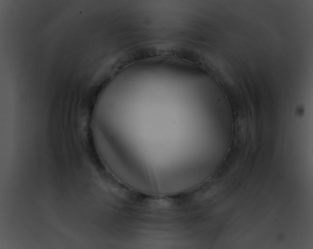 X0000091550698200708311354