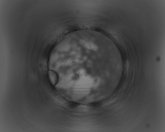 X0000091550699200708311354