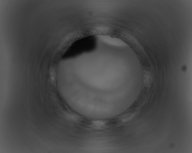 X0000091550701200708311354