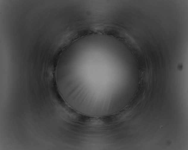 X0000091550702200708311354