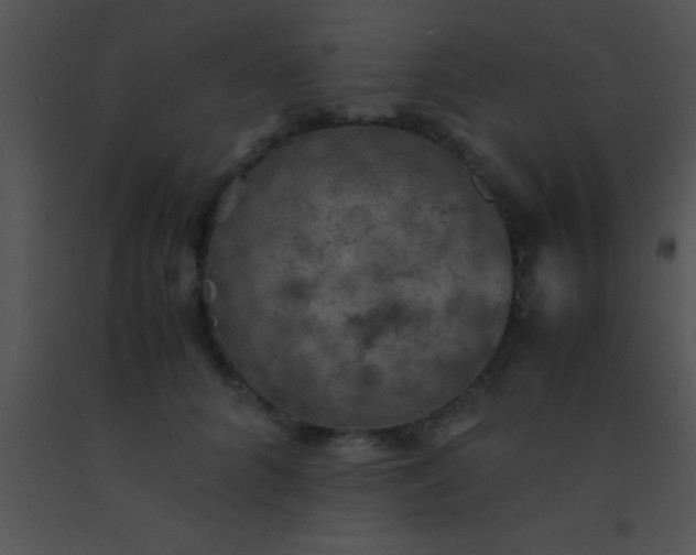 X0000091550704200708311354