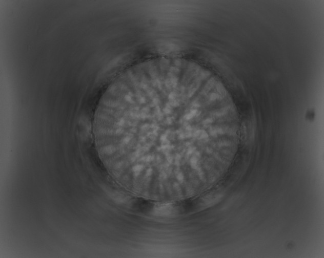 X0000091550705200708311354