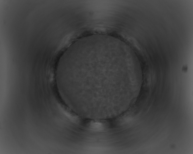 X0000091550706200708311354