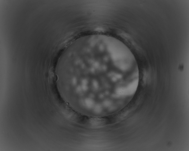 X0000091550707200708311354