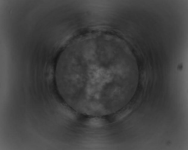 X0000091550708200708311354