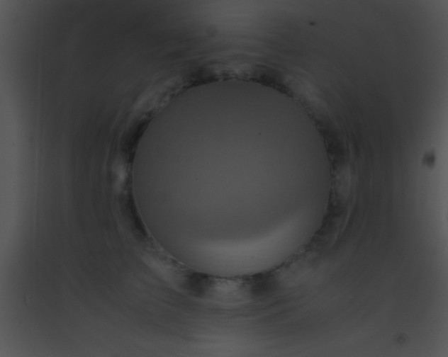 X0000091550709200708311354