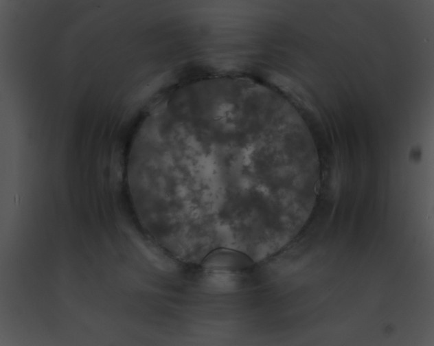 X0000091550710200708311354