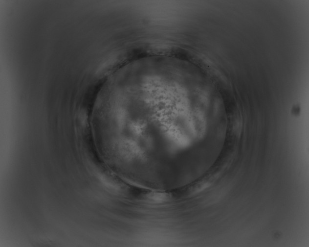X0000091550711200708311354