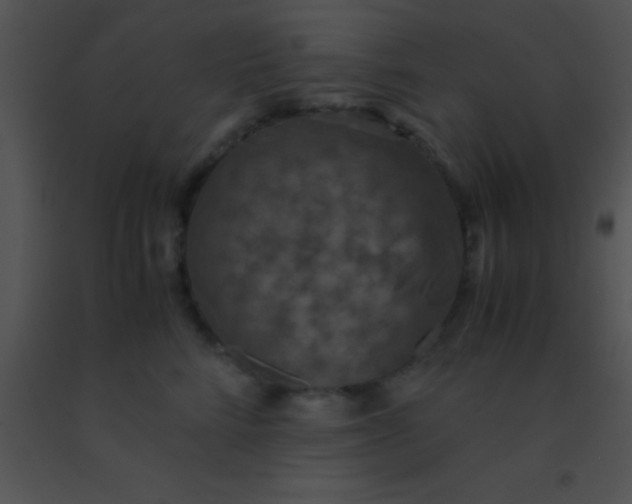 X0000091550712200708311354