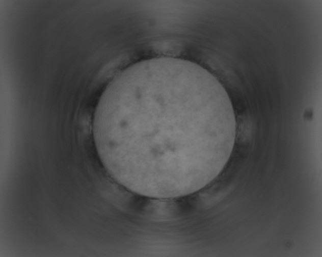X0000091550713200708311354