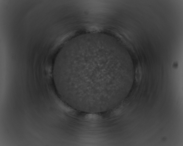 X0000091550714200708311354